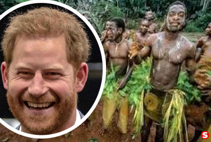 Prince Harry Africa Parks charity news