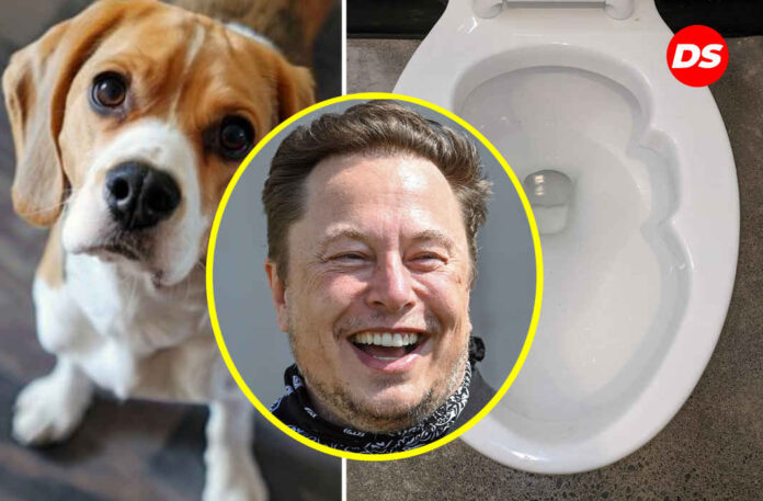 Musk DOGE news